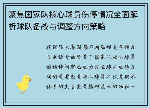 聚焦国家队核心球员伤停情况全面解析球队备战与调整方向策略